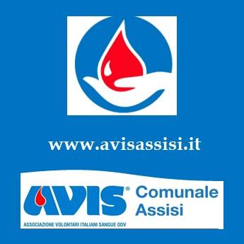 Avis Comunale Assisi